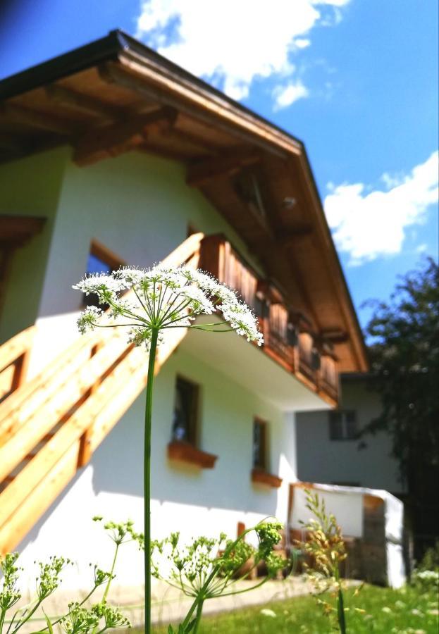 Ferienwohnung Auenheim Innervillgraten Exteriör bild